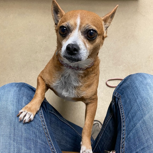 Meet your Posher, Matthew - Picture 1 of 1